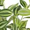 Gerbe de tradescantia de 46,9 cm d'Ashland